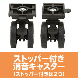 StarShell　おでかけペットキャリー